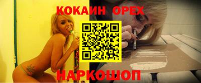 крисы Гагарин