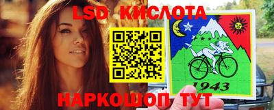 крисы Гагарин
