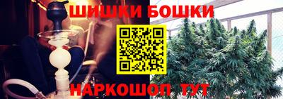 крисы Гагарин