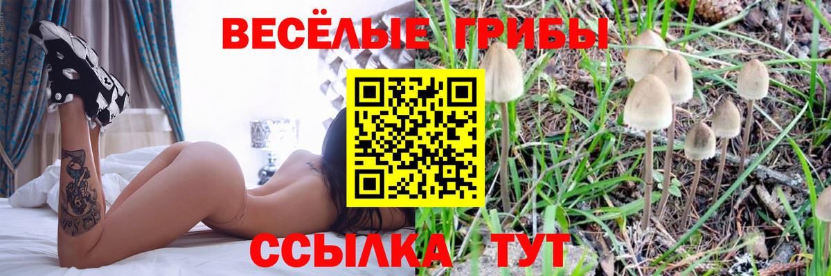 как найти закладки  Псилоцибиновые грибы Psilocybine cubensis  Вход с VPN  Менделеевск 