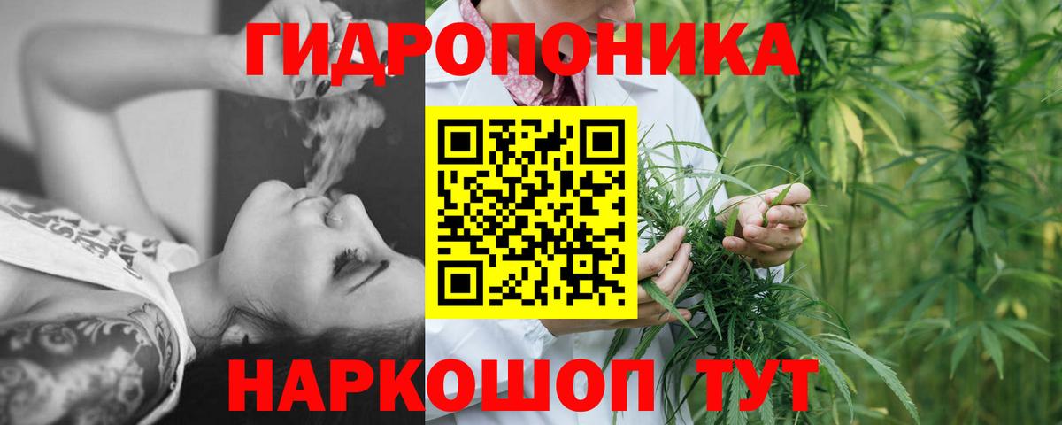 Менделеевск  Бошки марихуана марихуана  Вход с VPN  Канабис сатива  Шишки марихуана White Widow 